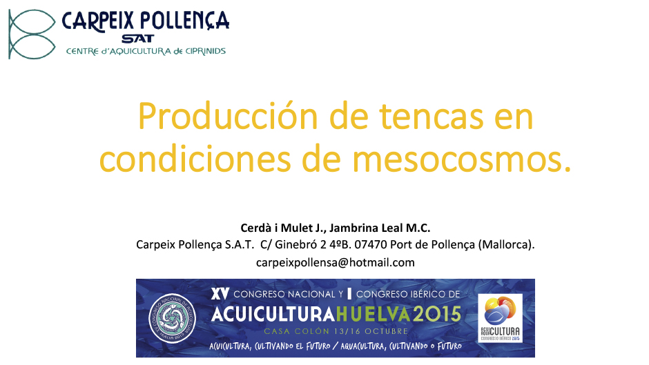 Producción de tencas en condiciones de mesocosmos.pptx